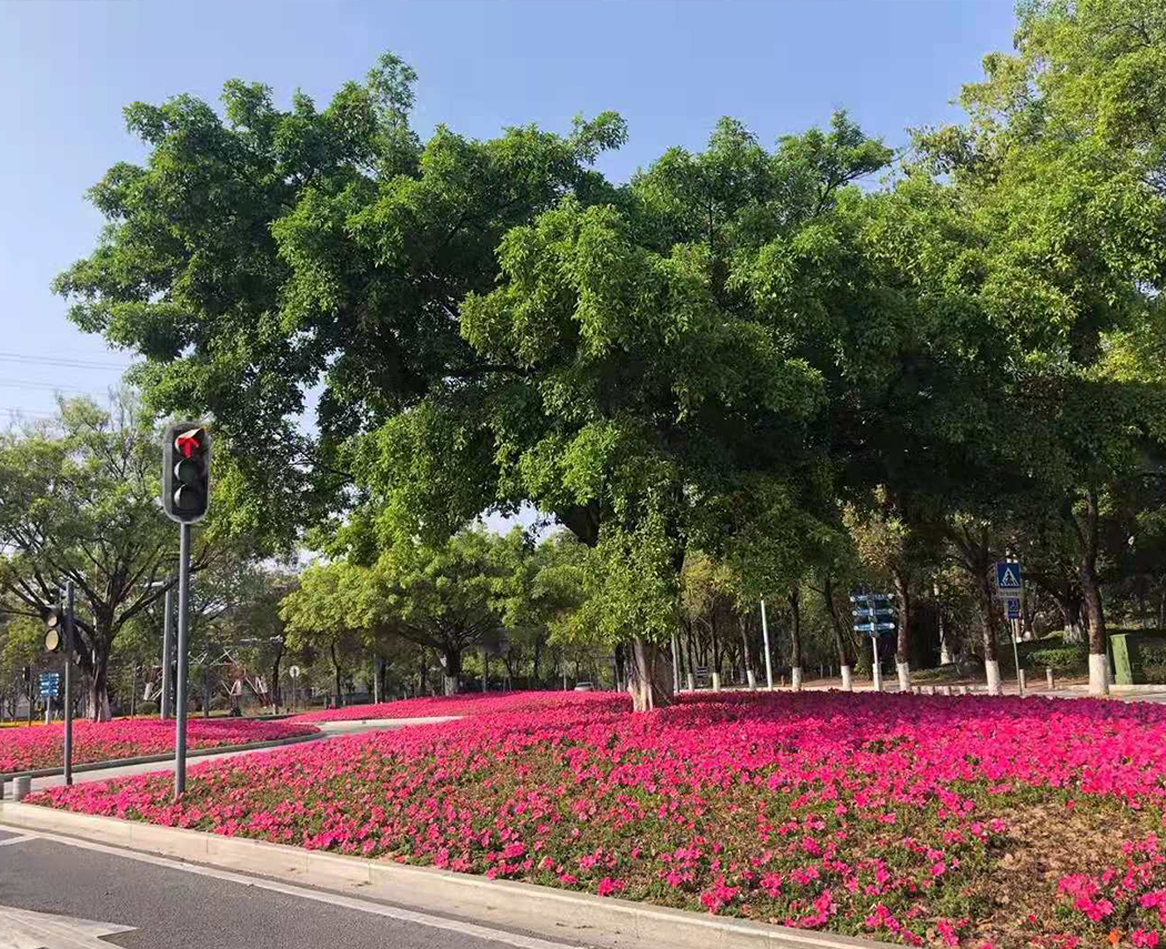 熱之源科技2021年開工啦?。?！